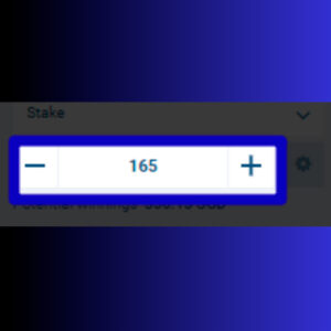 Enter the bet amount in 1xbet